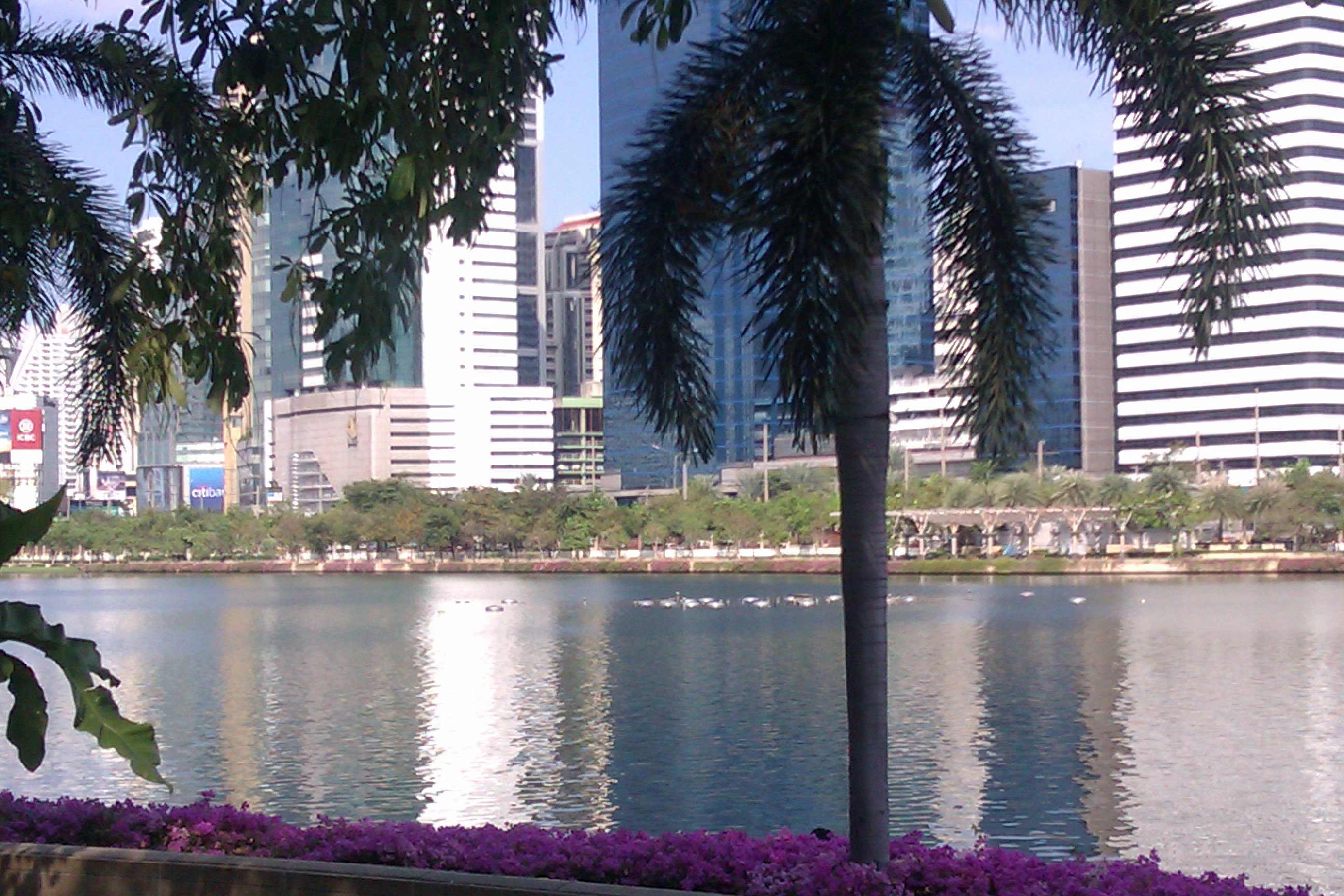 paranoia and xenophobia in thailand