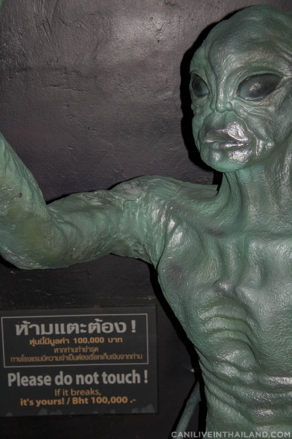 Baiyoke alien
